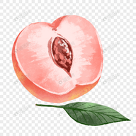 WWW,se538·COM网站APPAPP应用