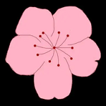 橘子视频APP应用